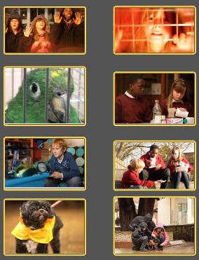 six screen captures of the film Exotic Pets is it fair